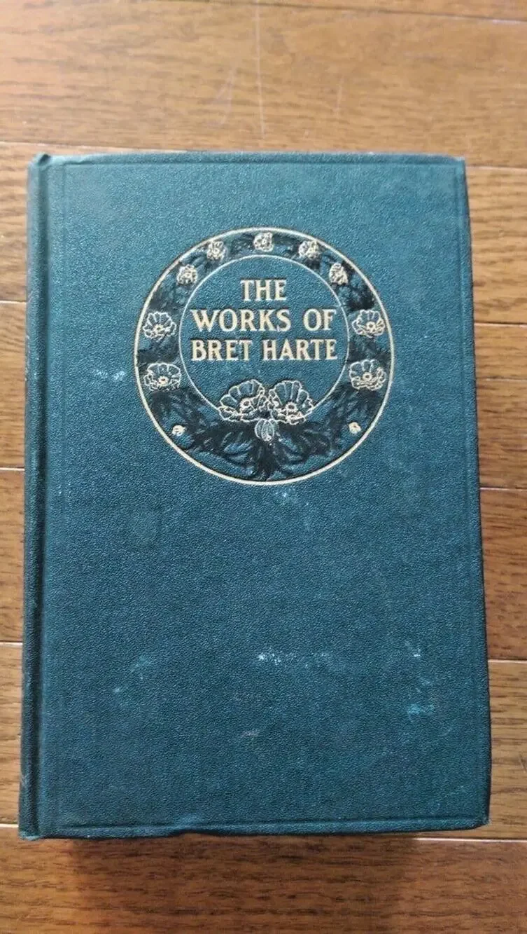 The Works of Bret Harte - Vol V Sally Dows - McKinlay Stone & Mackenzie 1893